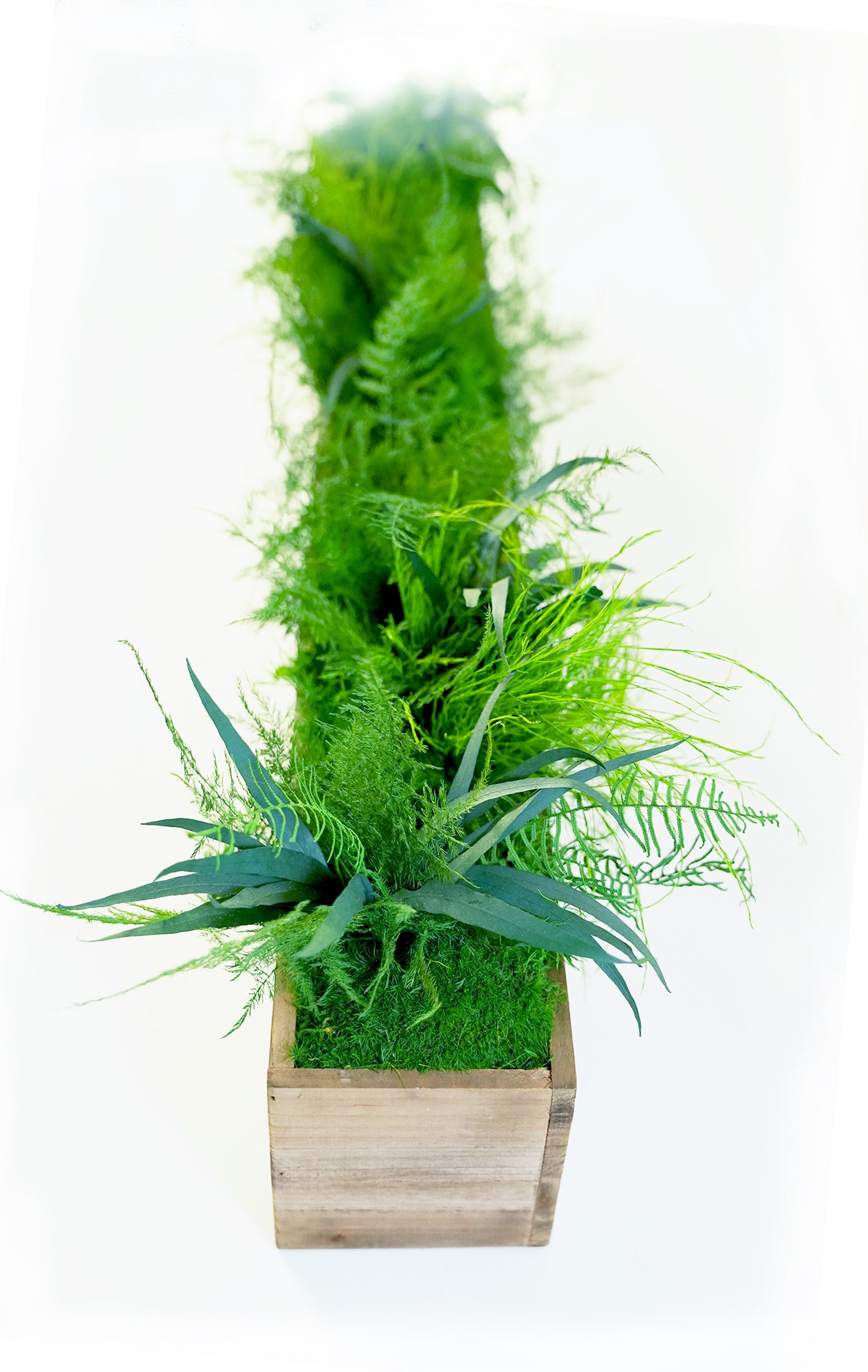 Large Wooden Planter Box with Preserved Moss and Ferns - No Watering -  Artisan Moss